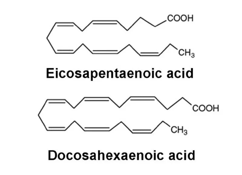 EPA vs DHA: what's the difference?
