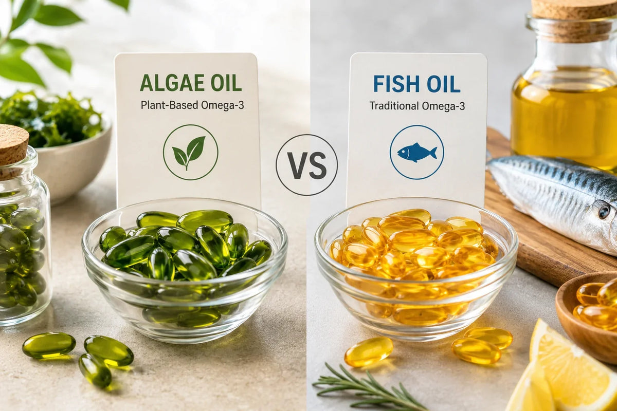 Algae Oil vs Fish Oil: Which Omega-3 Supplement Makes Sense in the UK?